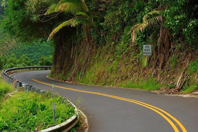 Maui Tour : Road to Hana Day Trip from Lahaina with Pick-up - Highlights and Notable Challenges