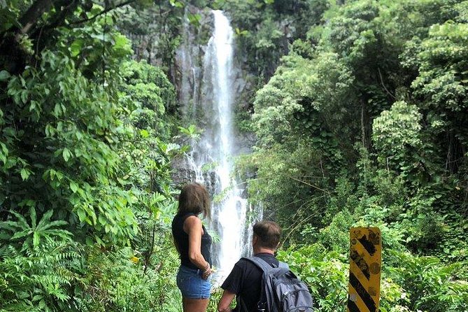 Maui Tour : Road to Hana Day Trip from Lahaina with Pick-up - Maui’s Scenic Adventure: A Worthwhile Day Trip