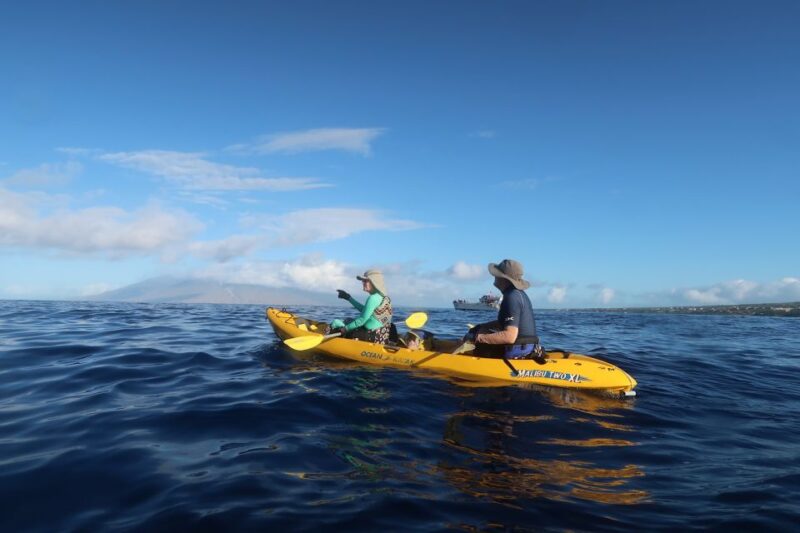 Maui: Turtle Town Kayak and Snorkel Tour - The Unique Location of Turtle Town on Maui
