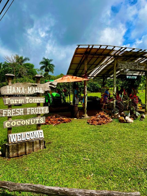 Maui: VIP Road to Hana Private Tour in Convertible SUV - Food, Snacks, and Beverages