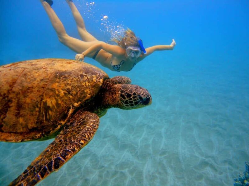 Maui: West Coast Snorkeling Boat Tour w/Breakfast & Lunch - Key Points