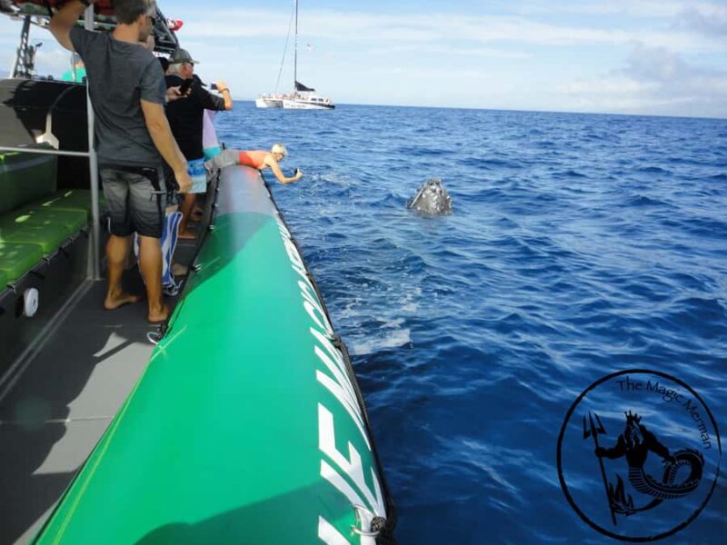 Maui: West Coast Snorkeling Boat Tour w/Breakfast & Lunch - Suitability and Restrictions