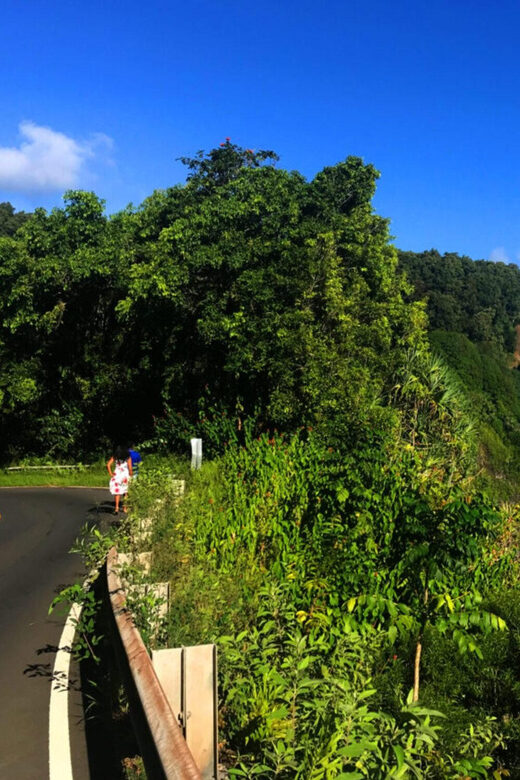 Maui: West Maui Tour with Breakfast and Lunch - Key Points