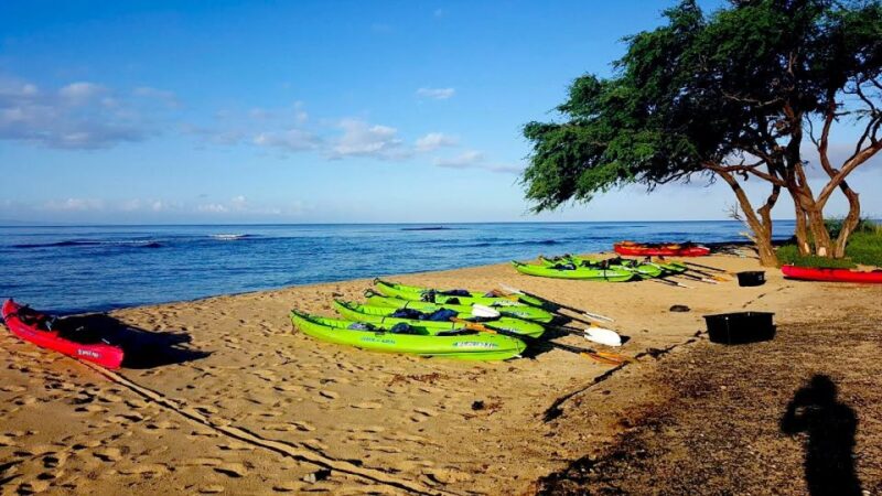 Maui: West Side Discovery Kayak & Snorkel from UKUMEHAME - Key Points