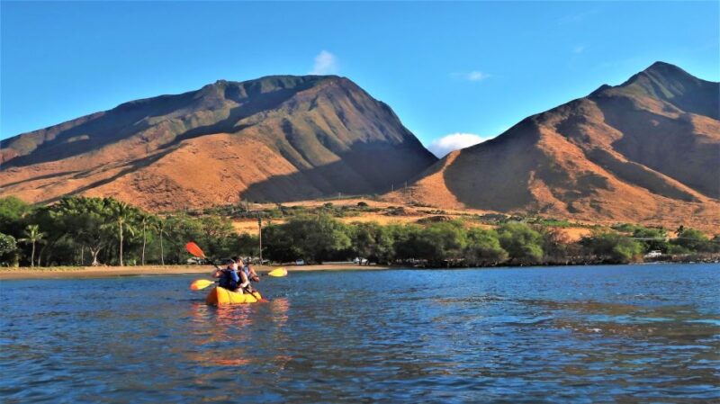 Maui: West Side Discovery Kayak & Snorkel from UKUMEHAME - What to Expect During the 3-Hour Adventure