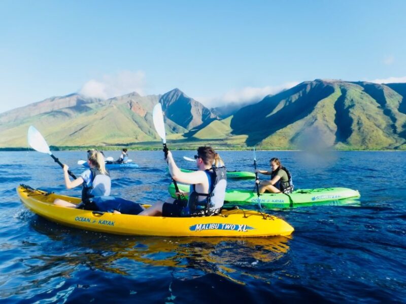 Maui: West Side Discovery Kayak & Snorkel from UKUMEHAME - The Experience of Kayaking with a Knowledgeable Guide