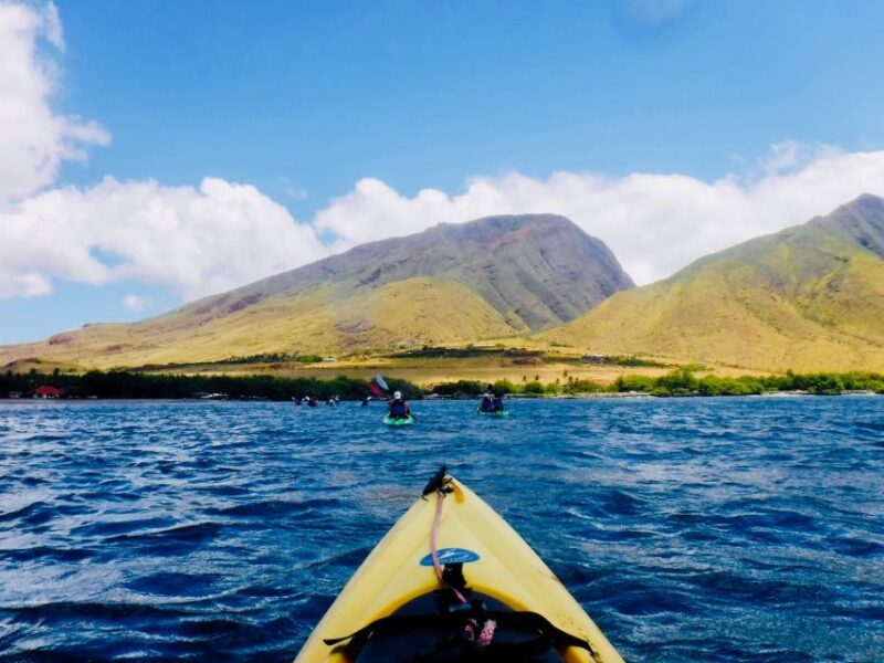 Maui: West Side Discovery Kayak & Snorkel from UKUMEHAME - Physical Requirements and Accessibility