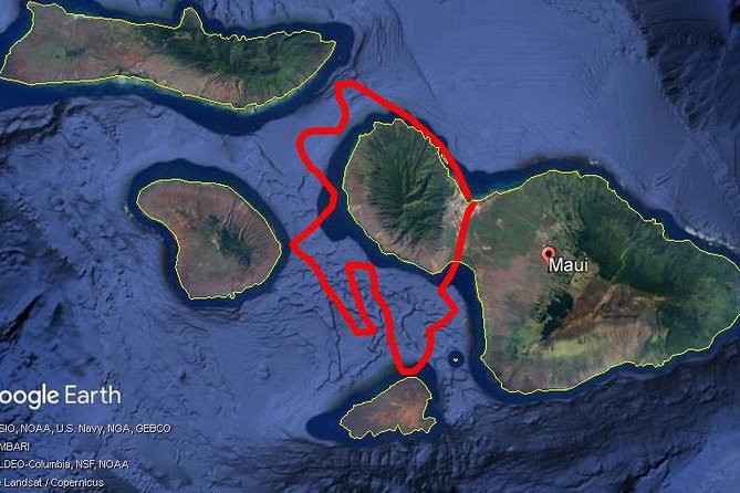 Maui Whale Watching -PRIVATE- Air Tour: (2-5 People): SEE WHALES! - The Experience of a Private Flight with Maui Plane Rides