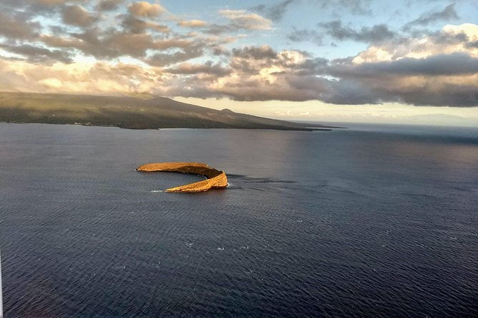 Maui Whale Watching -PRIVATE- Air Tour: (2-5 People): SEE WHALES! - The Sum Up: An Unforgettable Aerial Whale Watching Experience