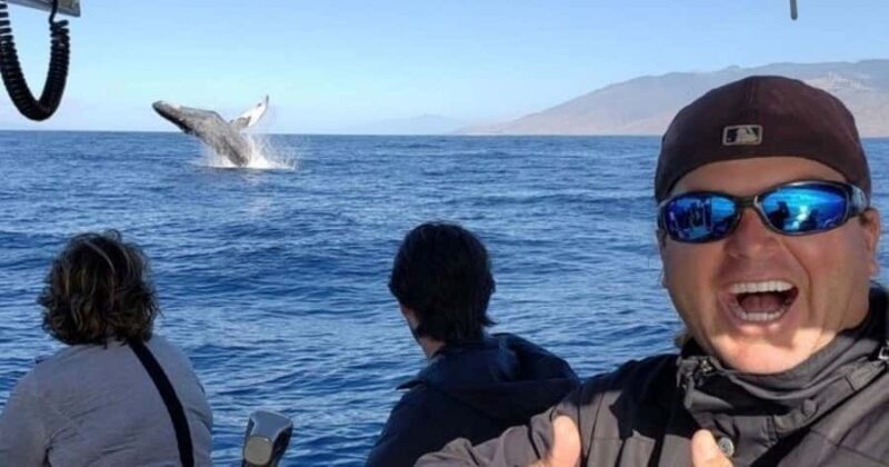 Maui: Whale Watching Tour - 1.5 hours - The Experience of Listening to Whale Songs