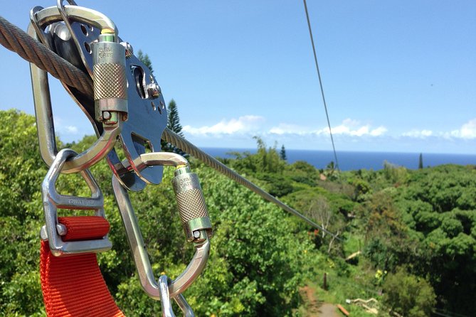 Maui Zipline Eco Adventure: 8 Lines through the Jungle - Exploring the 8 Zip Lines in the Maui Jungle