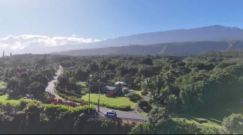 Maui's Sea Turtle & Waterfalls: Taste of Hana Guided Tour - Explore Maui’s Waterfalls, Sea Turtles, and Scenic Spots in a Small Group