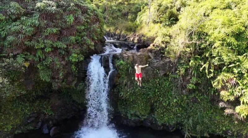 Maui's Sea Turtle & Waterfalls: Taste of Hana Guided Tour - Key Points