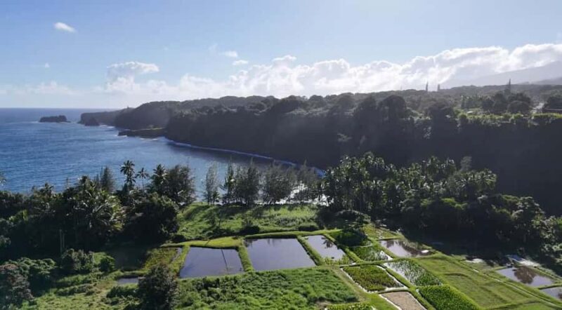 Maui's Sea Turtle & Waterfalls: Taste of Hana Guided Tour - Scenic Stops at Kaanae Peninsula and Rainbow Eucalyptus Trees