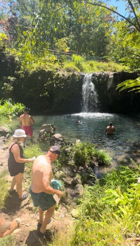 Maui's Sea Turtle & Waterfalls: Taste of Hana Guided Tour - Refreshing Swim at Puaaka Waterfall