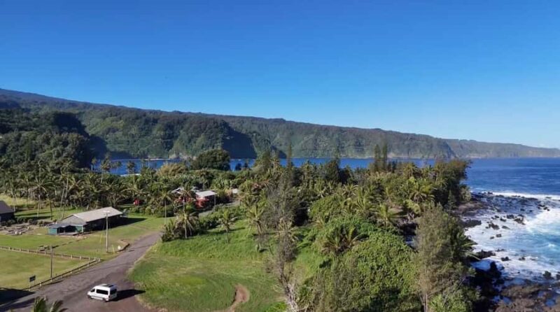 Maui's Sea Turtle & Waterfalls: Taste of Hana Guided Tour - Stops at Paia Town and Bamboo Forest Along the Route