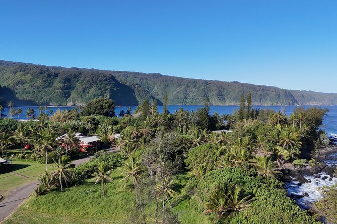 Mauis Sea Turtles, Waterfalls and Road to Hana Adventure - Visiting the Vibrant Rainbow Eucalyptus Trees and Bamboo Forest