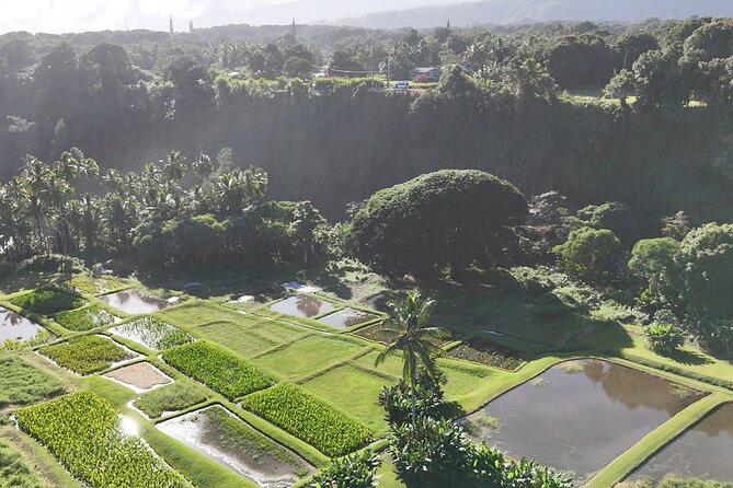 Mauis Sea Turtles, Waterfalls and Road to Hana Adventure - The Charm of Lahaina and Historic Sites