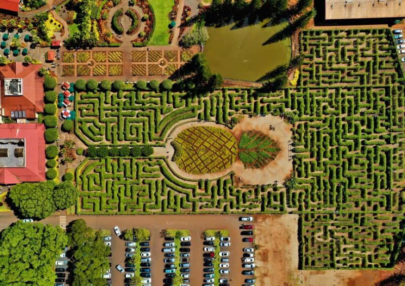 Mauka Warriors Luau Experience with Dole & Rum Tasting Tour - The Experience at Coral Crater Adventure Park