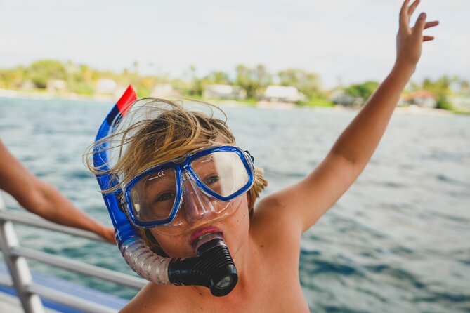 Mauna Kea 2hr One Stop Sealife Snorkel Adventure - A Compact Yet Immersive Snorkeling Adventure on Big Island