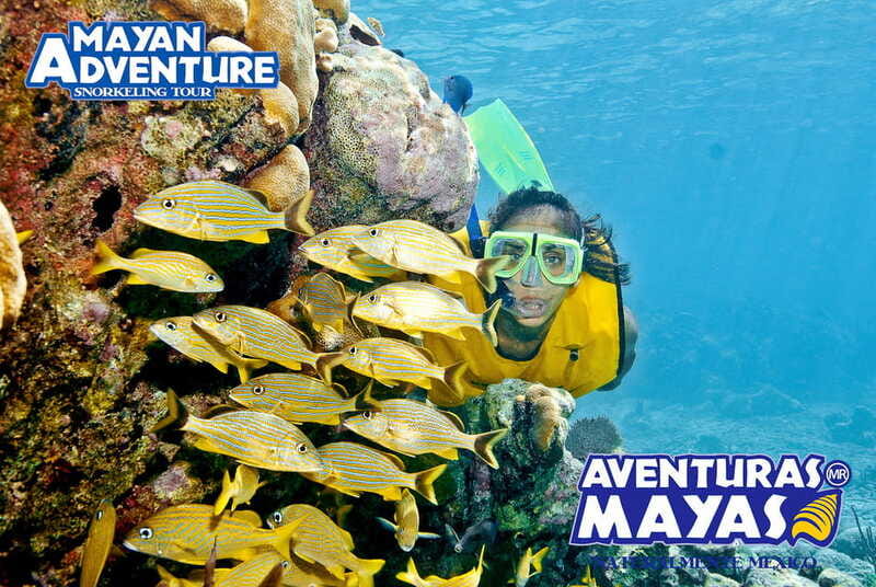 Mayan Adventure - 3 different snorkeling sites in one day! - Logistics and Transportation Details
