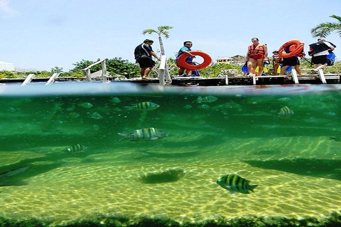 Mayan Adventure from Cancun - Exploring the Caribbean Reef and Its Marine Life