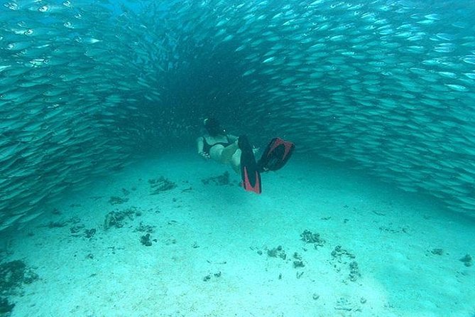 Mayan Adventure from Cancun - Comparing the Mayan Adventure with Similar Tours