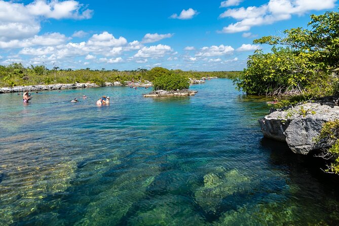 Mayan Adventure - The Best Experience from Riviera Maya with Transportation - Transportation and Guided Support Make the Experience Smooth