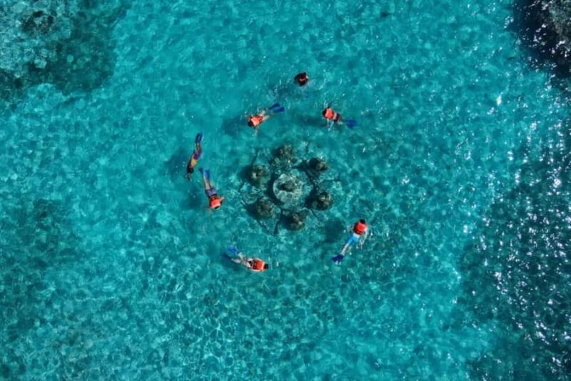 Mayan Jungle Tour with Speedboat & Snacks - Cancun - Who Will Appreciate This Tour Most?