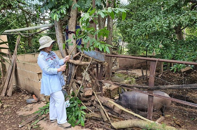 Mayas of Yesterday & Today: Tekit + Mayapan - Unique Activities and Cultural Insights