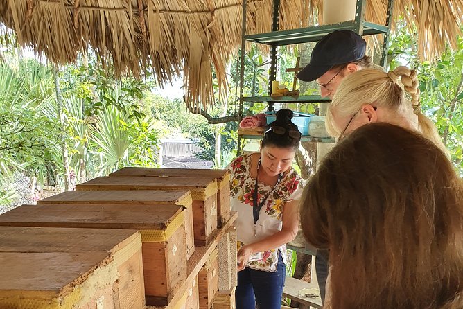 Mayas of Yesterday & Today: Tekit + Mayapan - Logistics: Convenient Pickup and Group Exclusivity