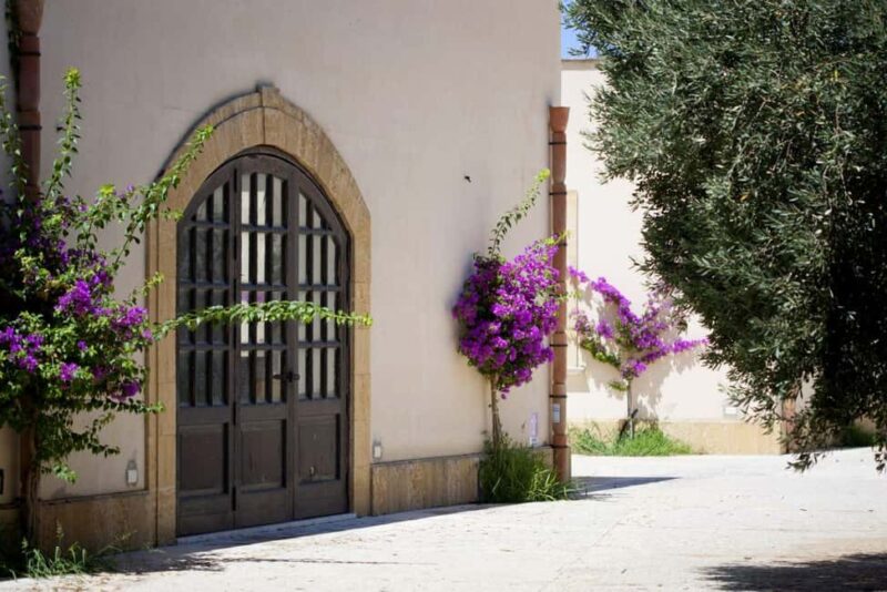 Mazara del Vallo: Tasting Tour at Assuli Winery - Discovering the Sun-Kissed Organic Wines of Assuli