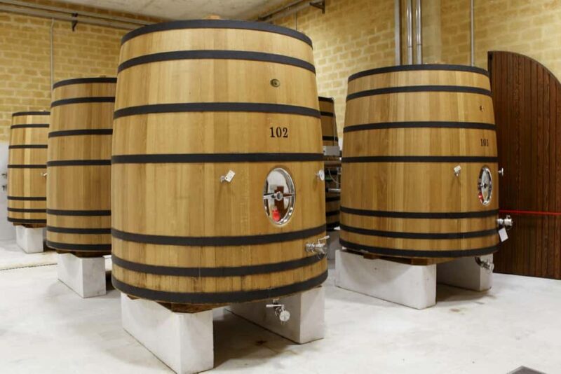 Mazara: Winery tour among the vineyards with tasting - Exploring the Winery Surrounded by Vineyards in Mazara del Vallo