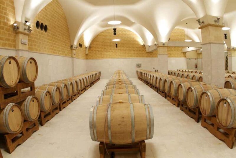 Mazara: Winery tour among the vineyards with tasting - From Vine to Bottle: A Tour of Production Facilities