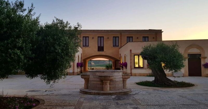 Mazara: Winery tour among the vineyards with tasting - The Unique Experience of Organic and Native Sicilian Wines