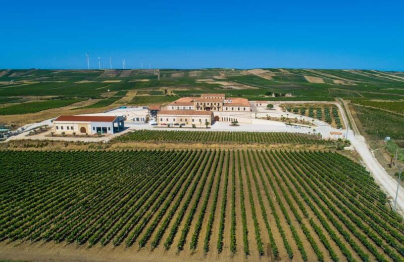 Mazara: Winery tour among the vineyards with tasting - Final Thoughts on the Mazara Winery Tour with Tasting