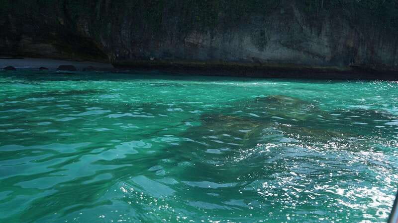 Mazatlan 3 Islands Snorkeling and Bird Watching Tour - Is This Tour Right for You?