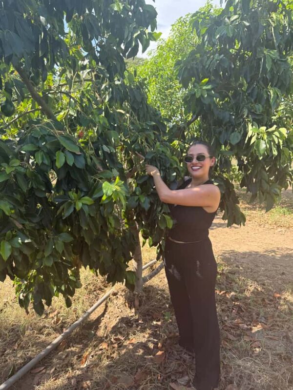 Mazatlán: Fruit Tour with Lunch and Mezcal Tasting - The Open Bar and Scenic Surroundings