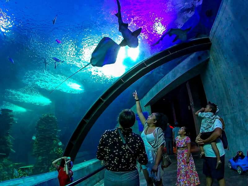 Mazatlan: Grand Aquarium Ticket and City Sightseeing Tour - Skip the Lines at Mazatlan Aquarium for a Deeper Marine Experience