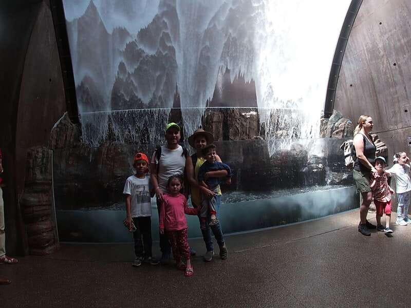 Mazatlan: Grand Aquarium Ticket and City Sightseeing Tour - Practical Details and Tour Logistics