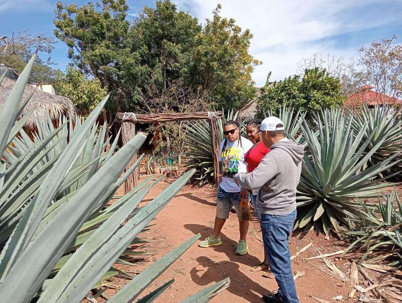 Mazatlan: Mezcal Factory Tour with Tasting and Lunch - Tasting a Range of Artisanal Mezcal Flavors