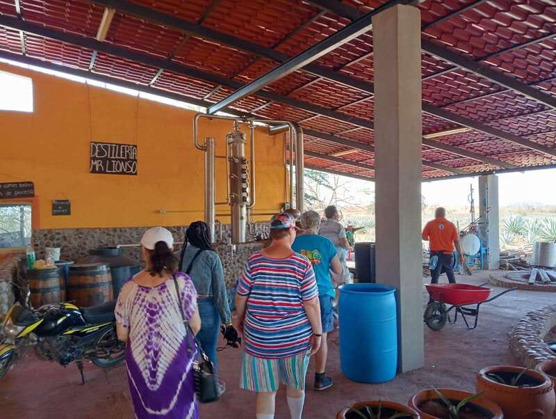Mazatlan: Mezcal Factory Tour with Tasting and Lunch - Optional Activities: Shopping, Horse Riding, and Relaxing