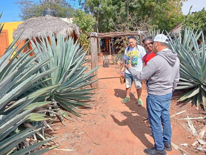 Mazatlan: Mezcal Factory Tour with Tasting and Lunch - Practical Details: Logistics and Accessibility