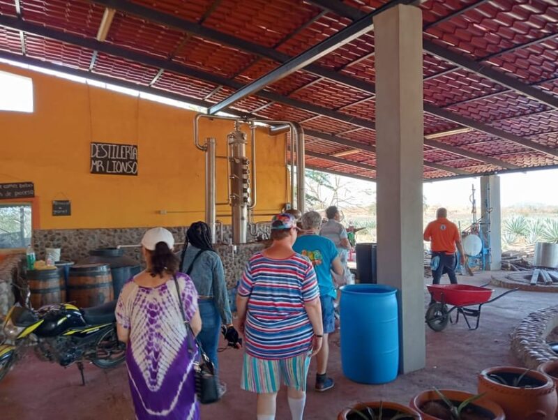 Mazatlan: Mezcal Factory Tour with Tasting and Lunch - What Sets This Tour Apart from Other Mezcal Experiences