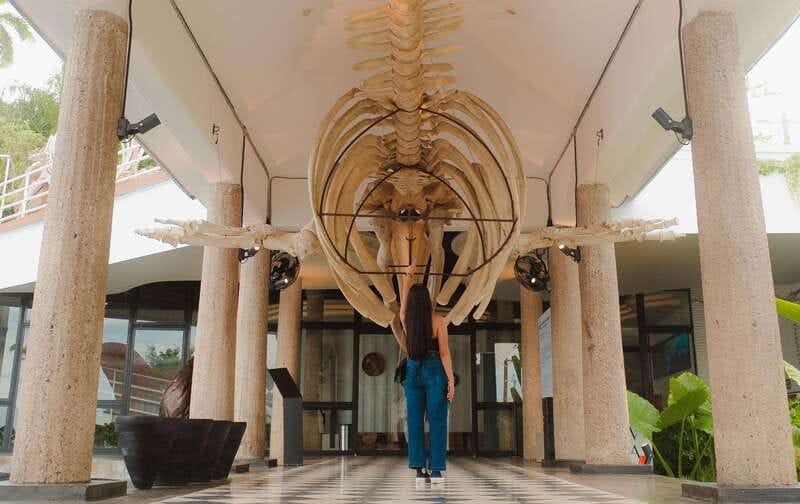 Mazatlán: MUNBA Interactive Ocean Museum Entry Ticket - Discover Mazatláns MUNBA Interactive Ocean Museum for Just $14