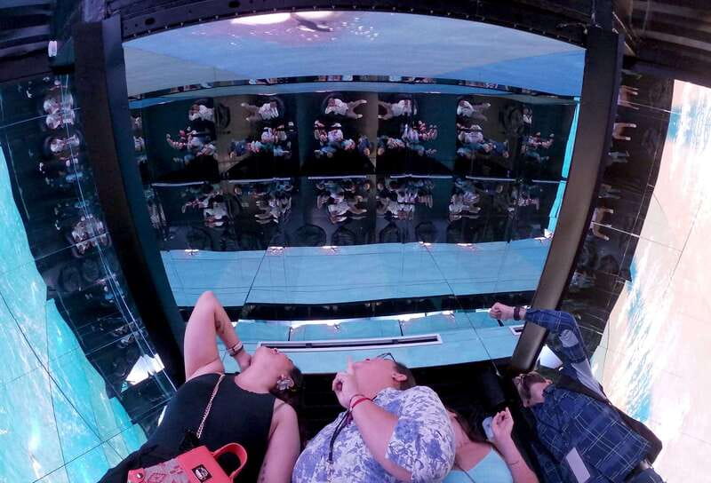 Mazatlán: MUNBA Interactive Ocean Museum Entry Ticket - Discovering the Inner Anatomy of Dolphins