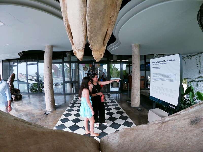 Mazatlán: Observatorio 1873 Cultural & Nature Experience - Bilingual Guides and Informative Stops