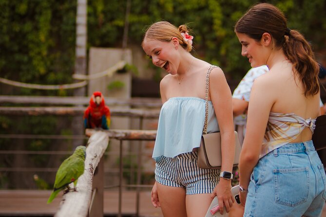 Mazatlan Observatorio 1873 Ticket and Pass - Exploring the 19th-Century Museum and Revolutionary Artifacts