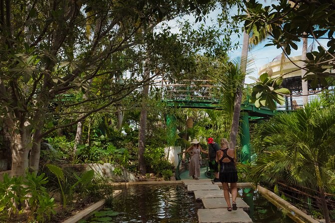 Mazatlan Observatorio 1873 Ticket and Pass - Cultural Rituals at the Cacao Ceremony Center