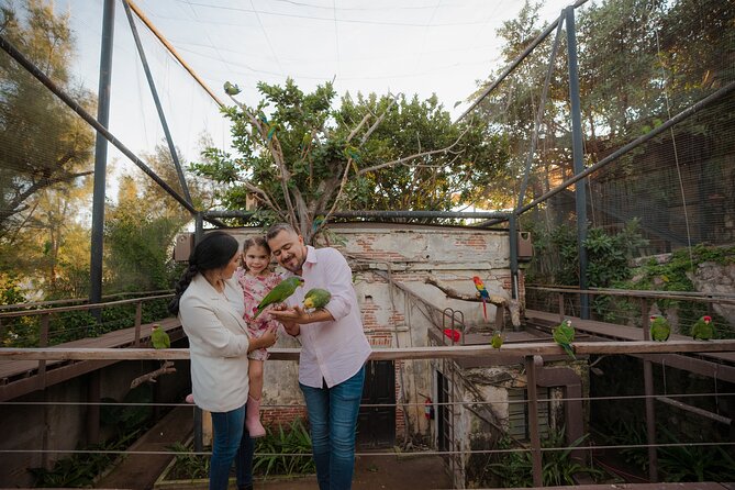 Mazatlan Observatorio 1873 Ticket and Pass - The Sky Bar: 360-Degree Views with Food and Drinks